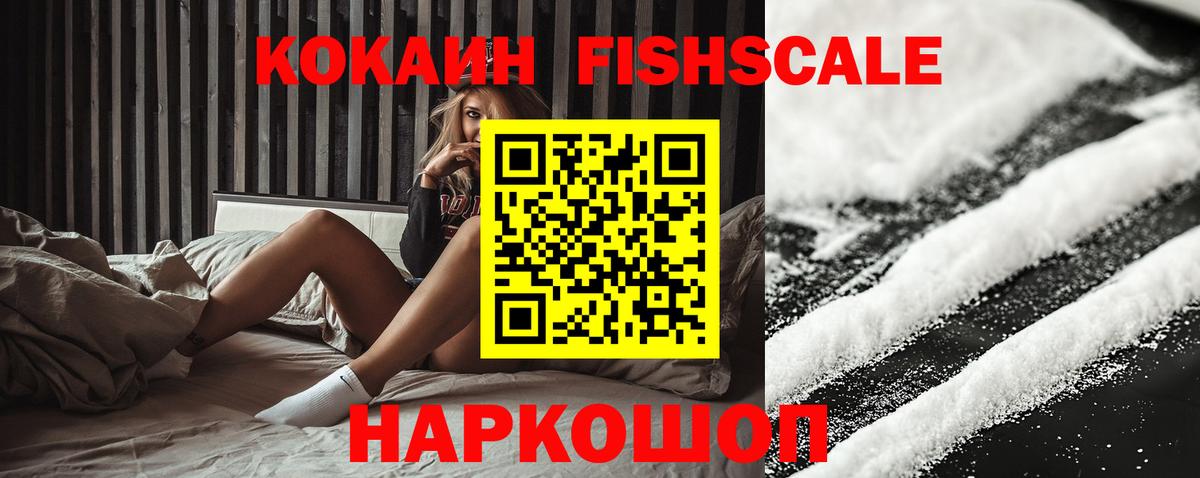 Кокаин Fish Scale  Вход с VPN  Соль-Илецк  где купить   Кокаин Эквадор 