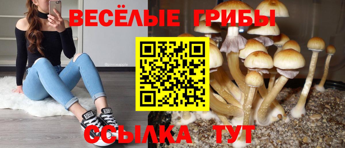 Соль-Илецк  Псилоцибиновые грибы Psilocybe  Вход с VPN 